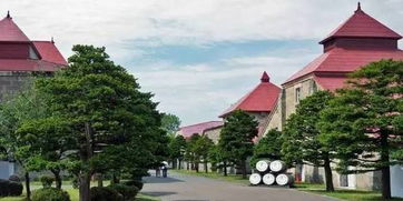 北海道 嘘，安静之地，请勿喧哗